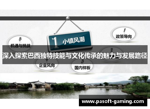 深入探索巴西独特技能与文化传承的魅力与发展路径