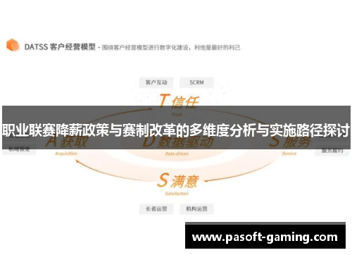 职业联赛降薪政策与赛制改革的多维度分析与实施路径探讨