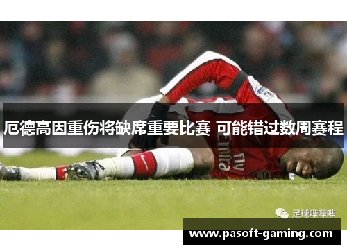 厄德高因重伤将缺席重要比赛 可能错过数周赛程 厄德高因重伤将缺席重要比赛 可能错过数周赛程